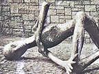 Fotofilosofie